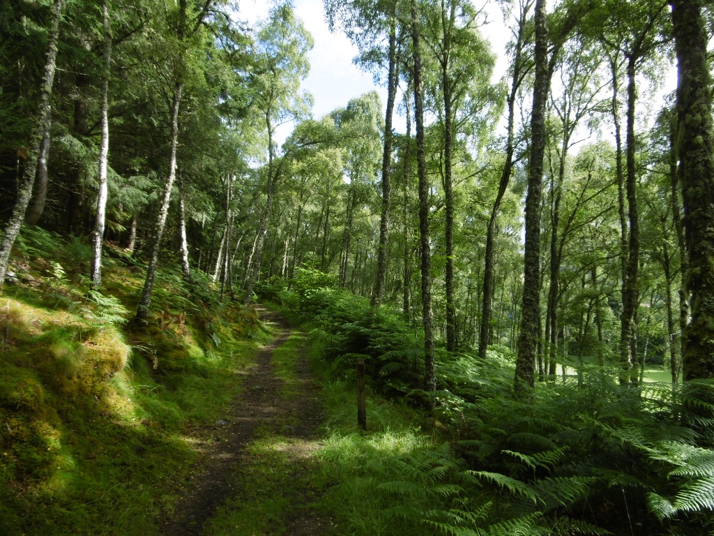Affric Kintail Way