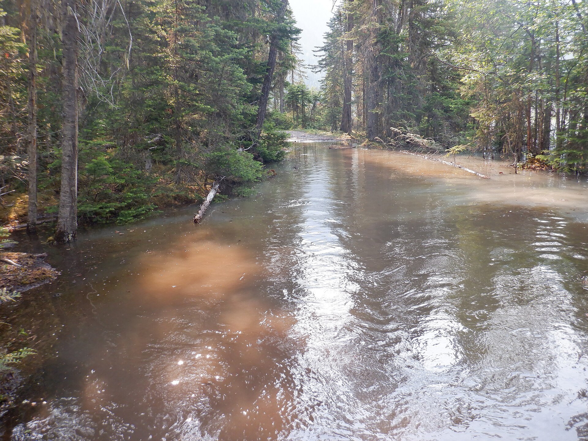 Berg Lake Trail