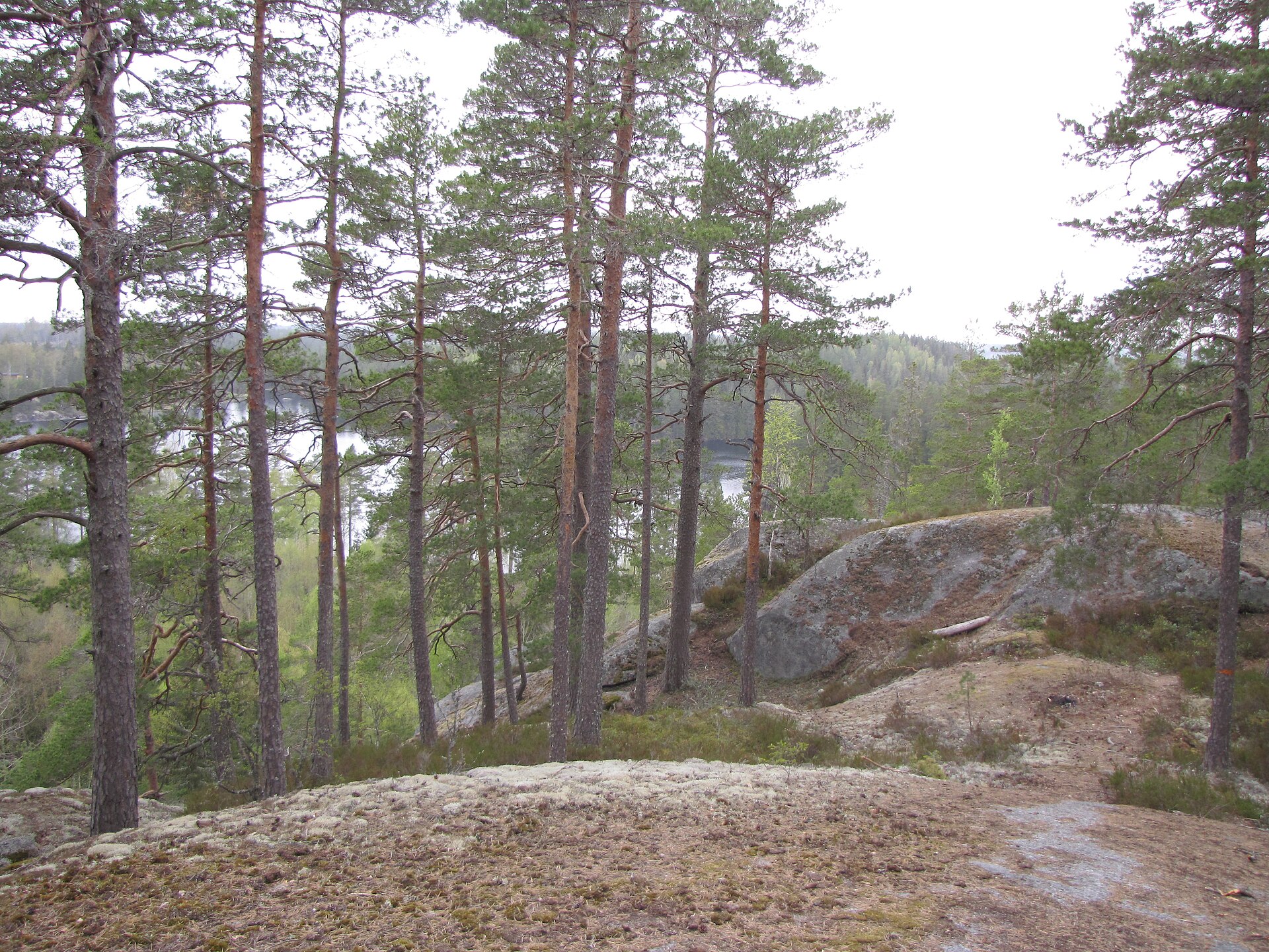 Bergslagsleden
