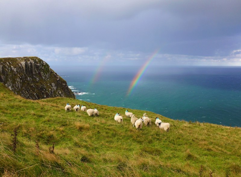Berwickshire Coastal Path