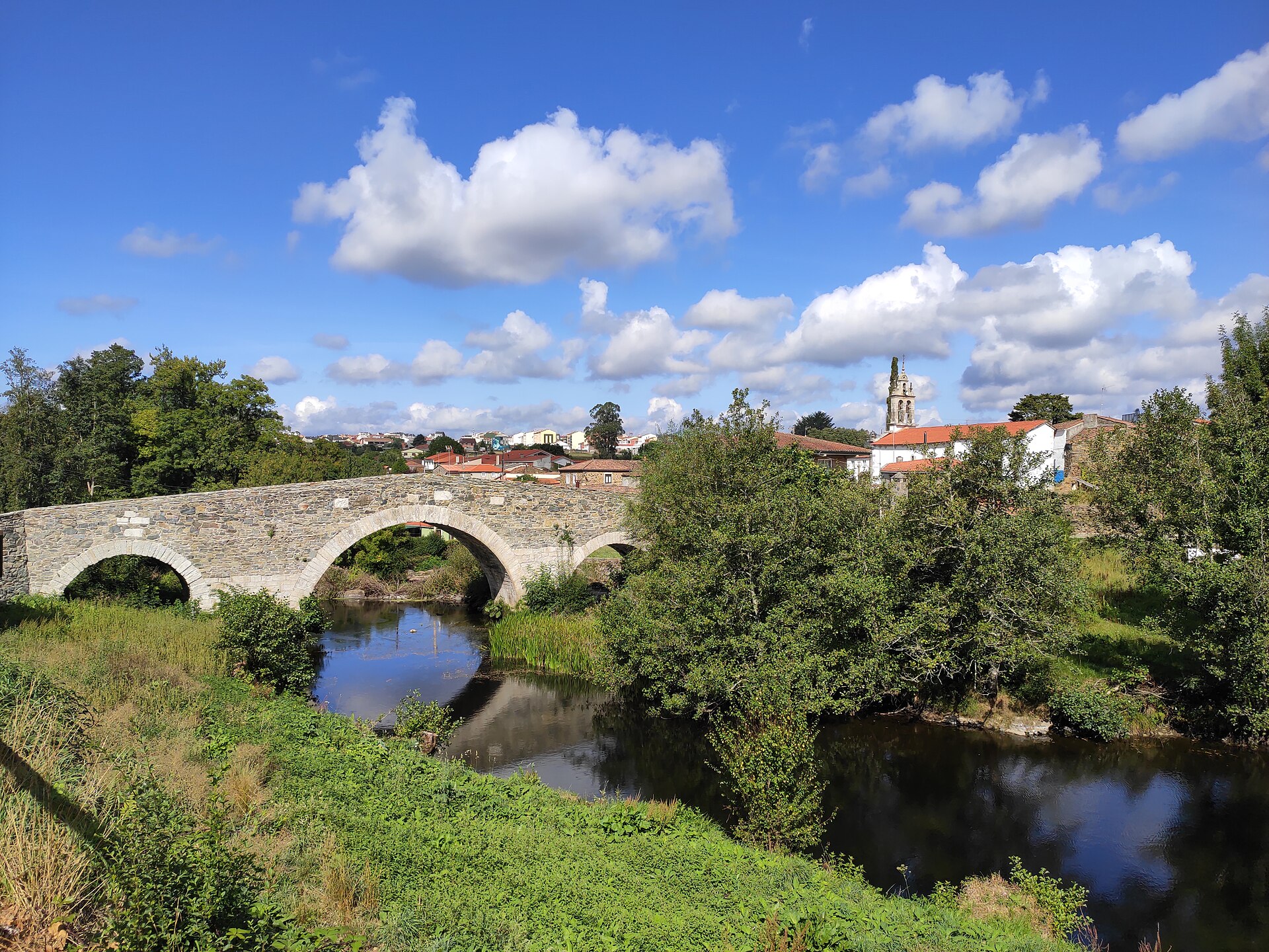 Camino Francés from Sarria