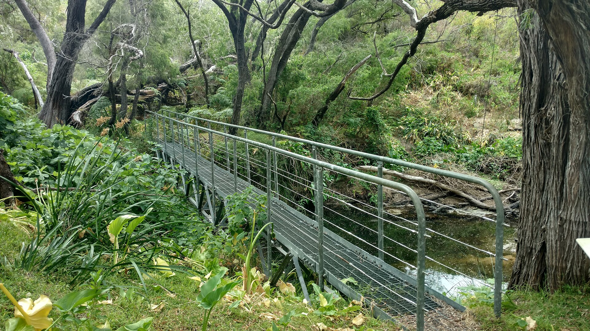 Cape to Cape Track