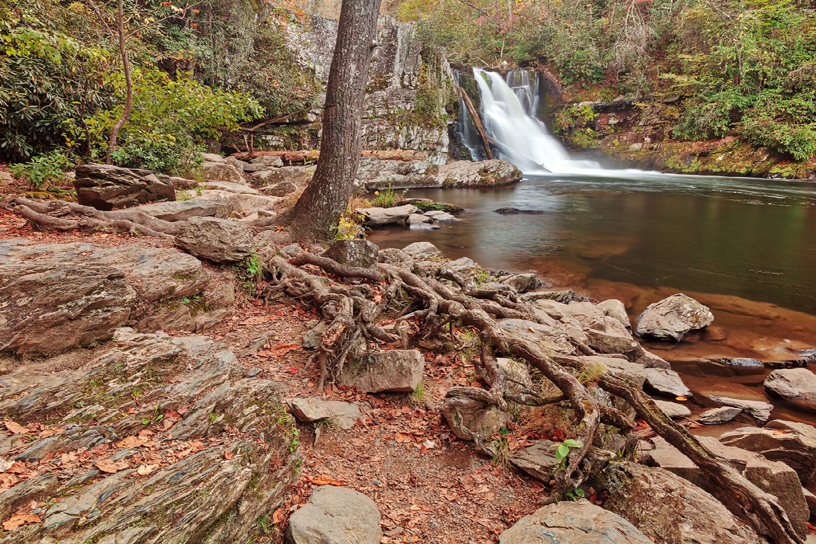 Abrams Falls from Cades Cove