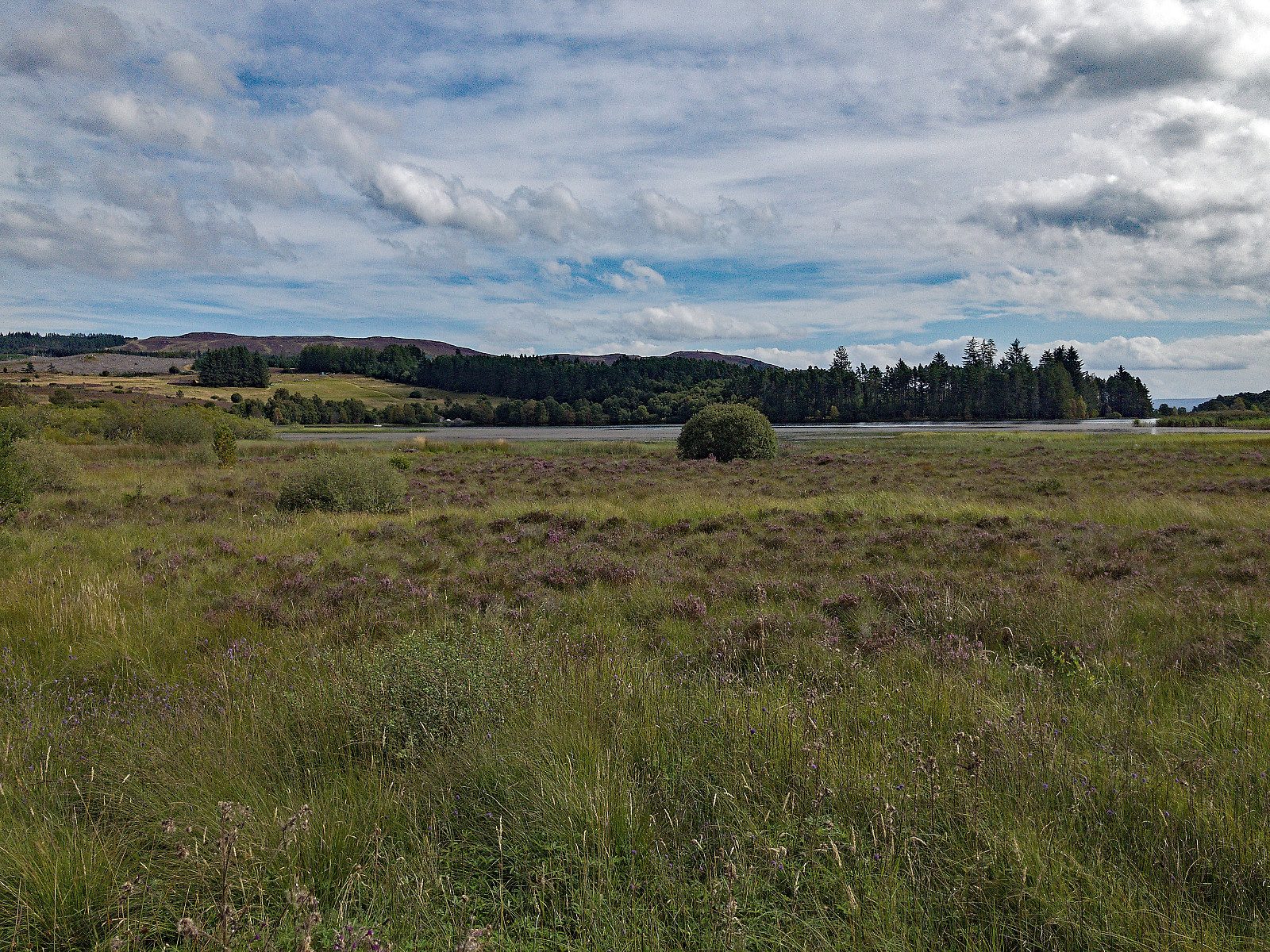 Abriachan forest trails and Càrn na Leitire