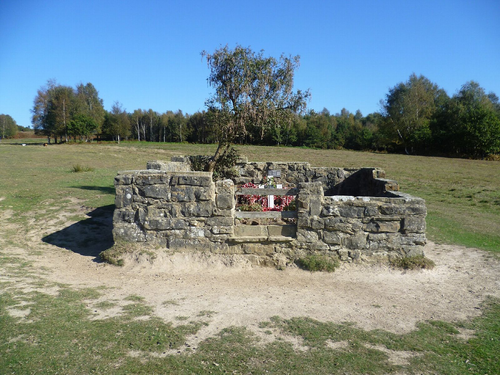 The Airman's Grave from Hollies