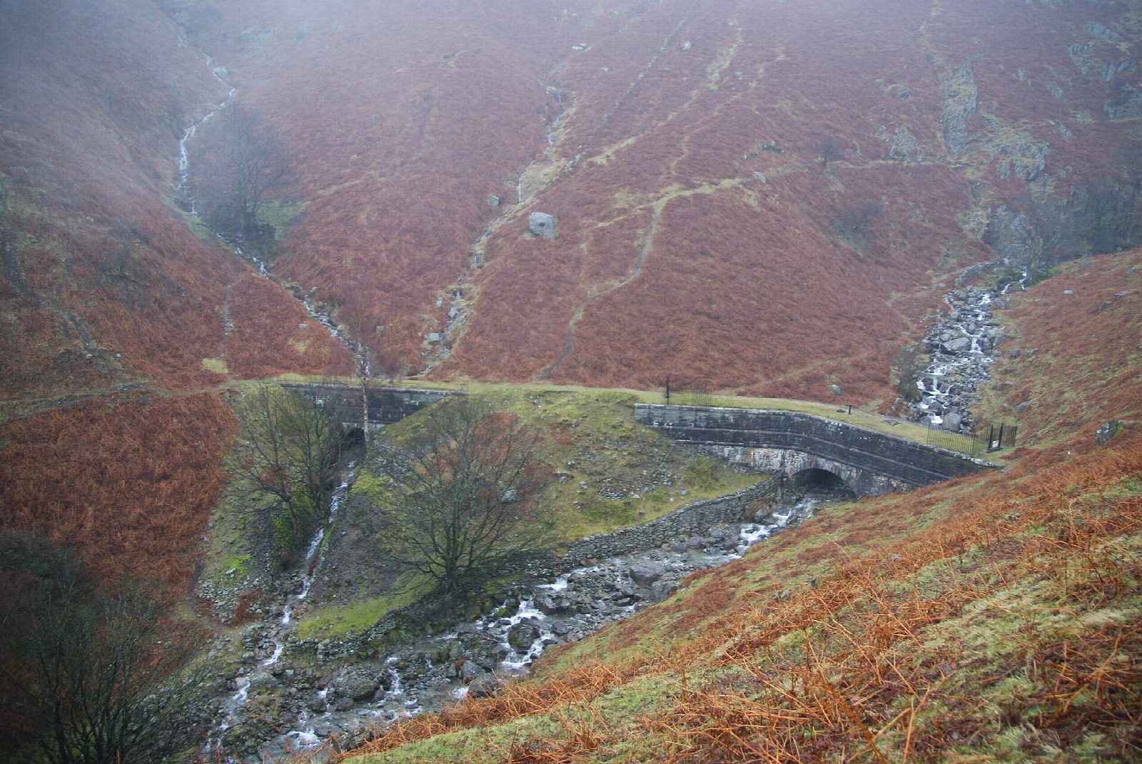 Alcock Tarn from Grasmere