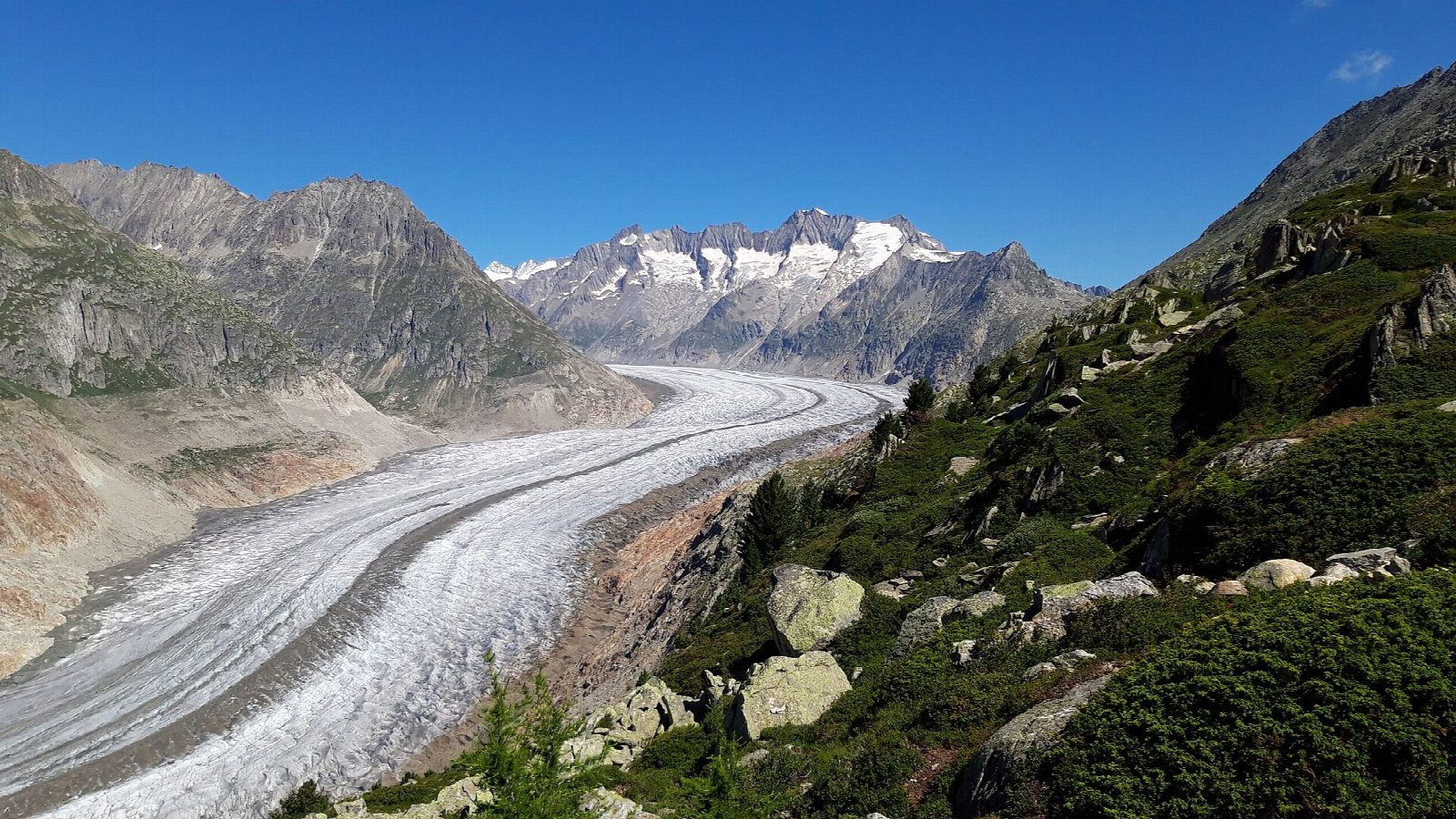 Aletsch Panorama Trail from the Bettmerhorn to Fiescheralp