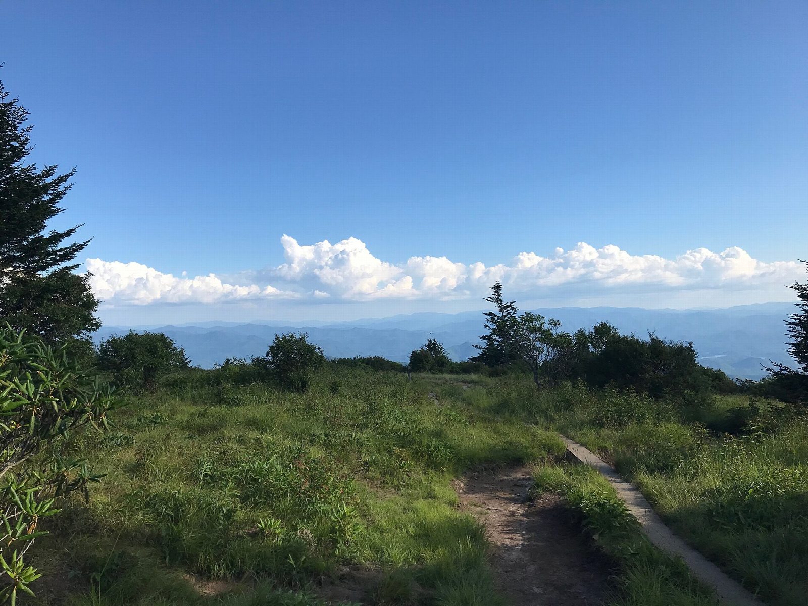Andrews Bald from Kuwohi (Clingmans Dome)