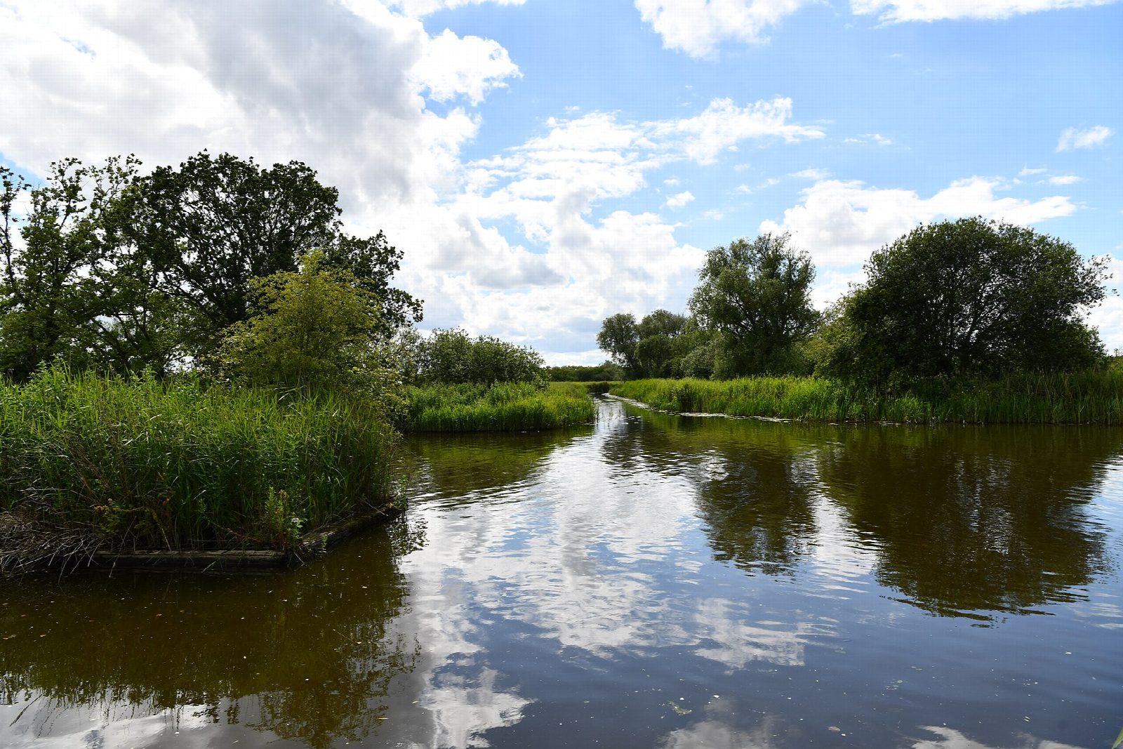 River Ant: How Hill to Barton Broad