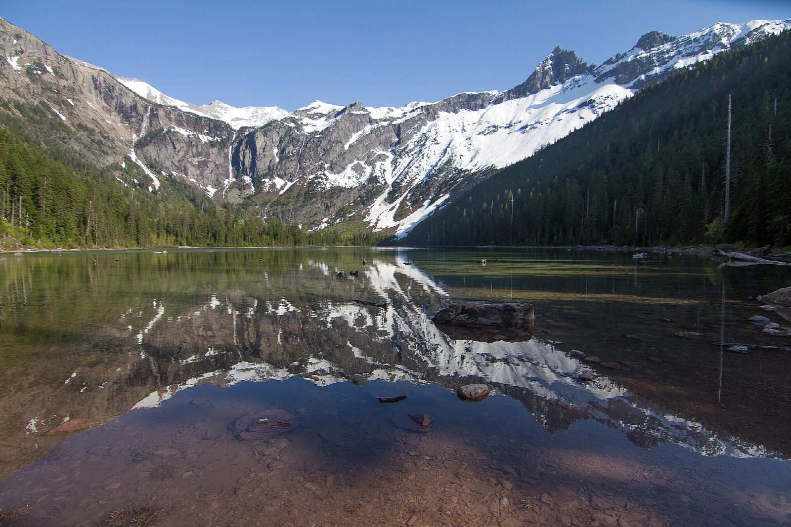Avalanche Lake by the Trail of the Cedars