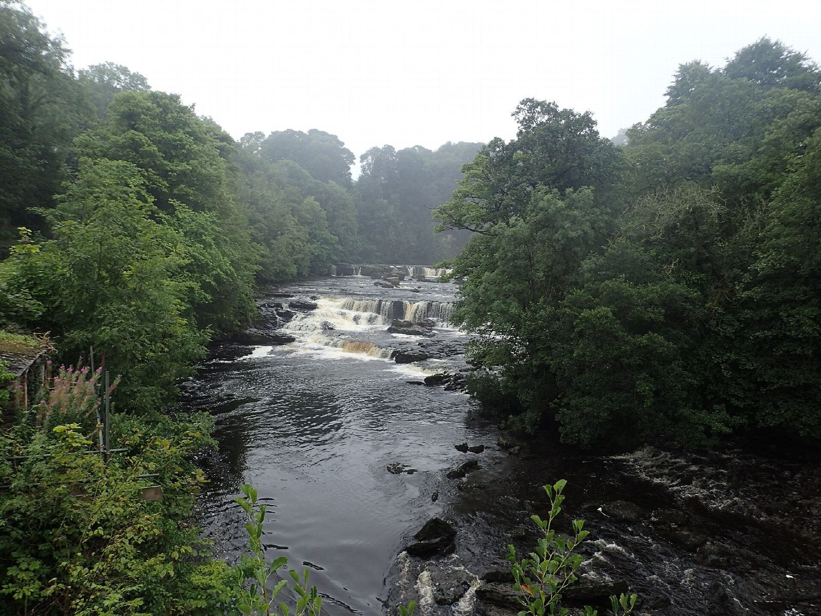 Aysgarth Falls and Bolton Castle