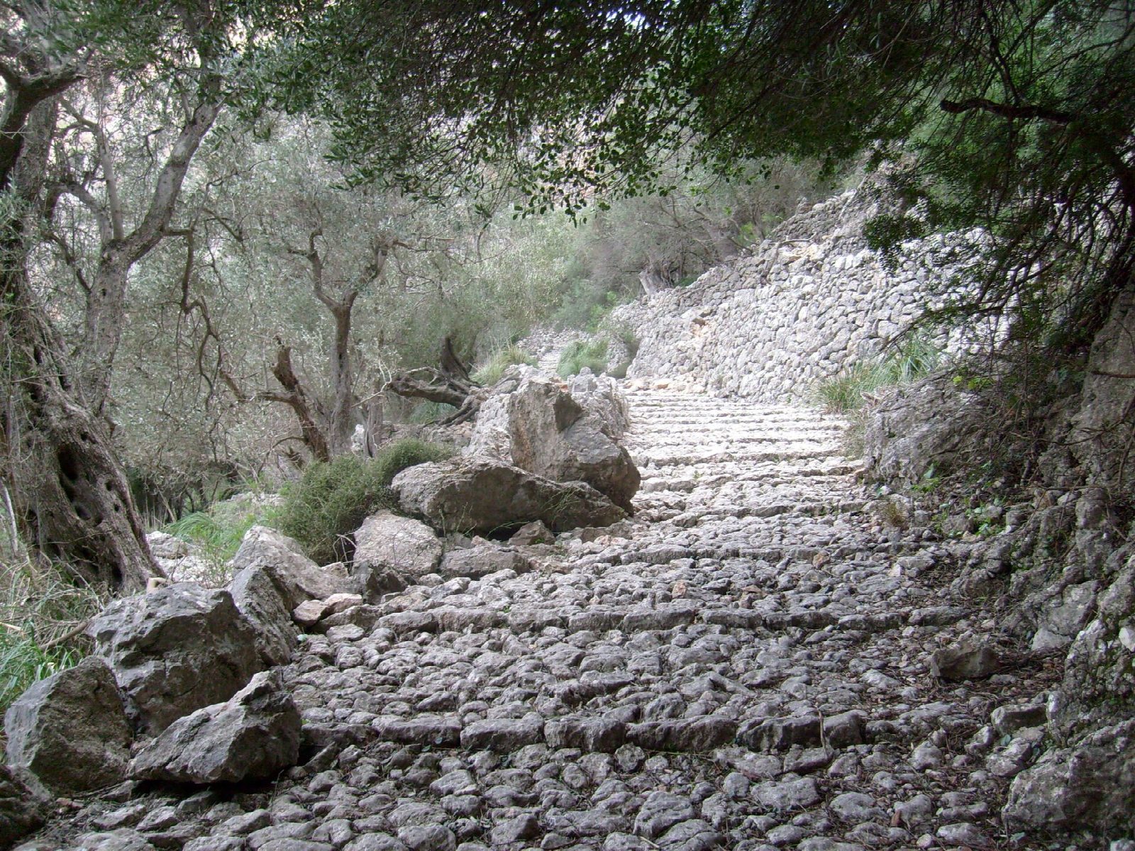 Barranc de Biniaraix to the Coll de l'Ofre