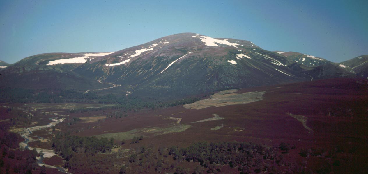 Beinn a' Bhuird from the Linn of Quoich