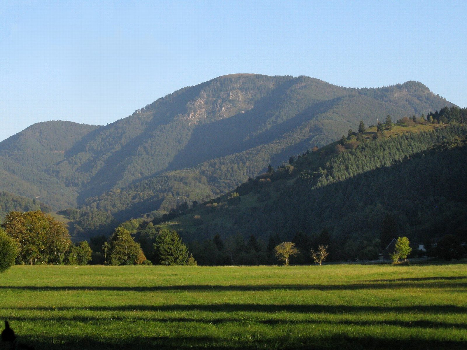 Belchen from Multen