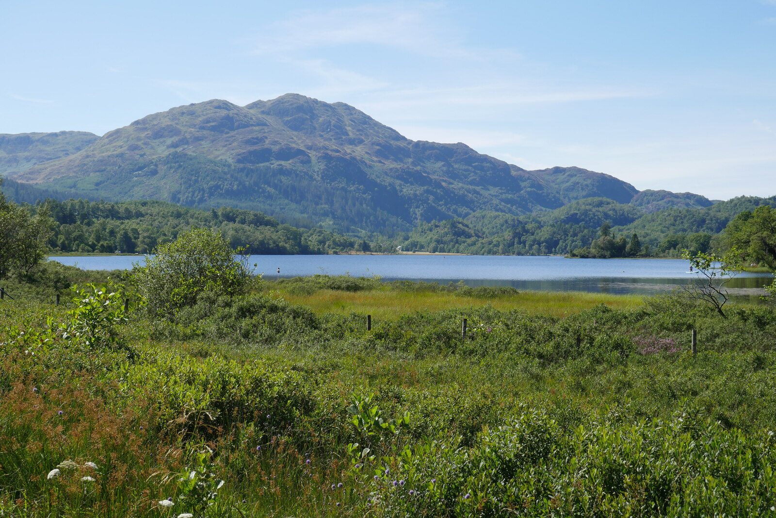 Ben Venue from Loch Achray