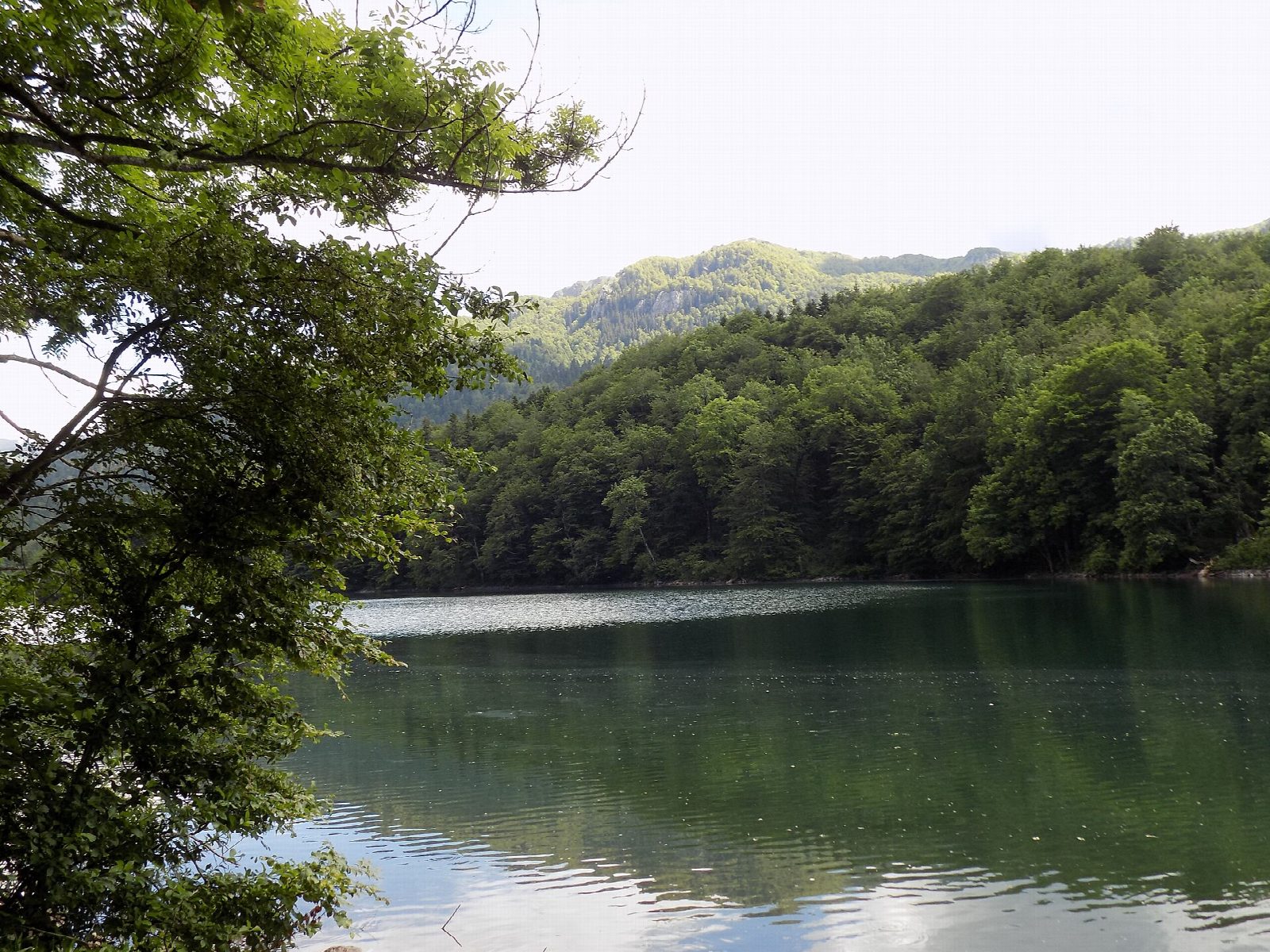 Lake Biograd (Biogradsko jezero) round