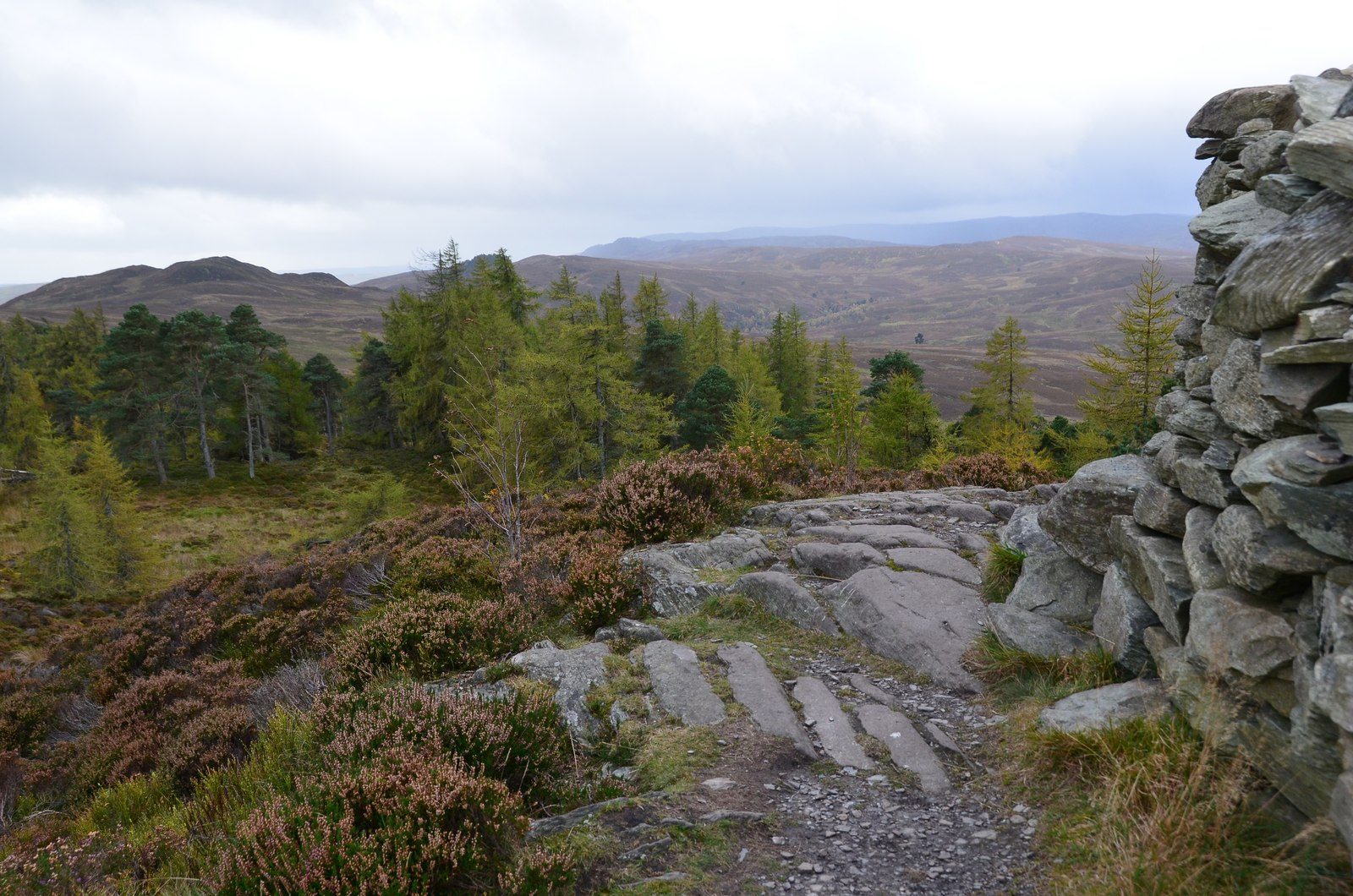 Birnam Hill and King's Seat