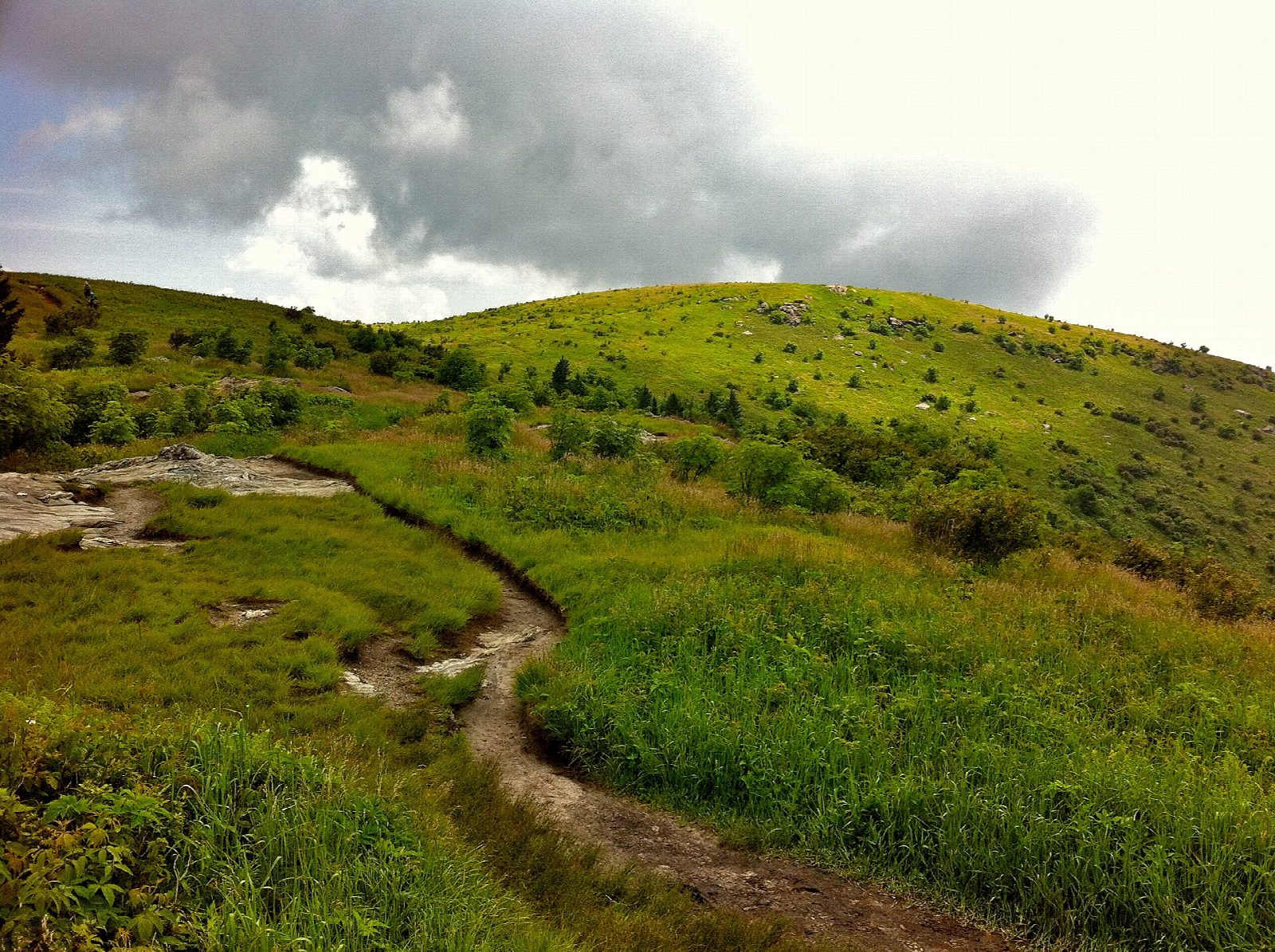 Black Balsam Knob and Tennent Mountain
