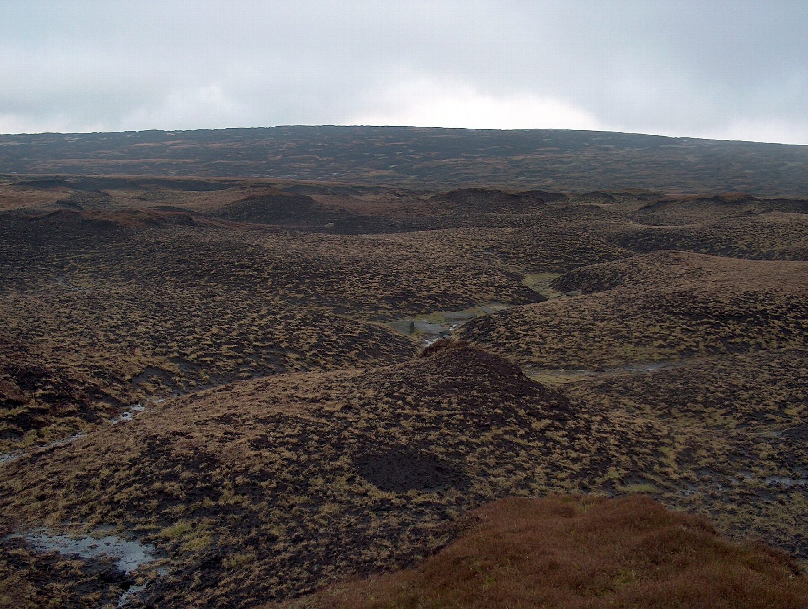 Bleaklow Head from the Snake Pass