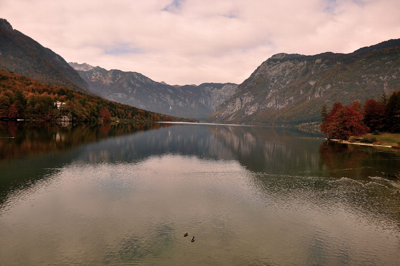 Lake Bohinj: Ribčev Laz to Naklova glava and back