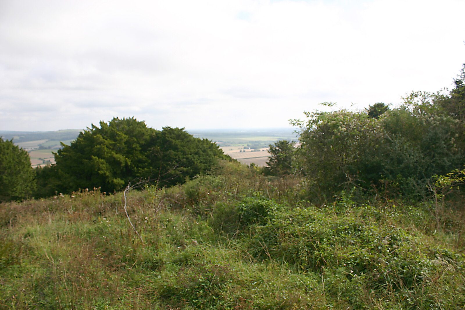 Bow Hill and the Devil's Humps from Stoughton Down