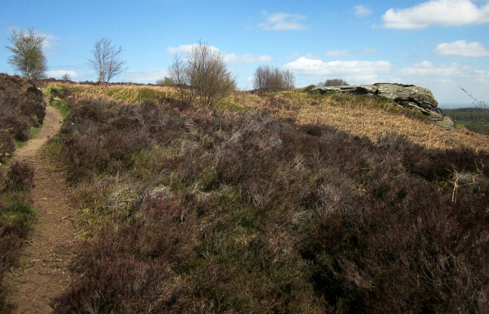 Brimham Rocks and Brimham Moor