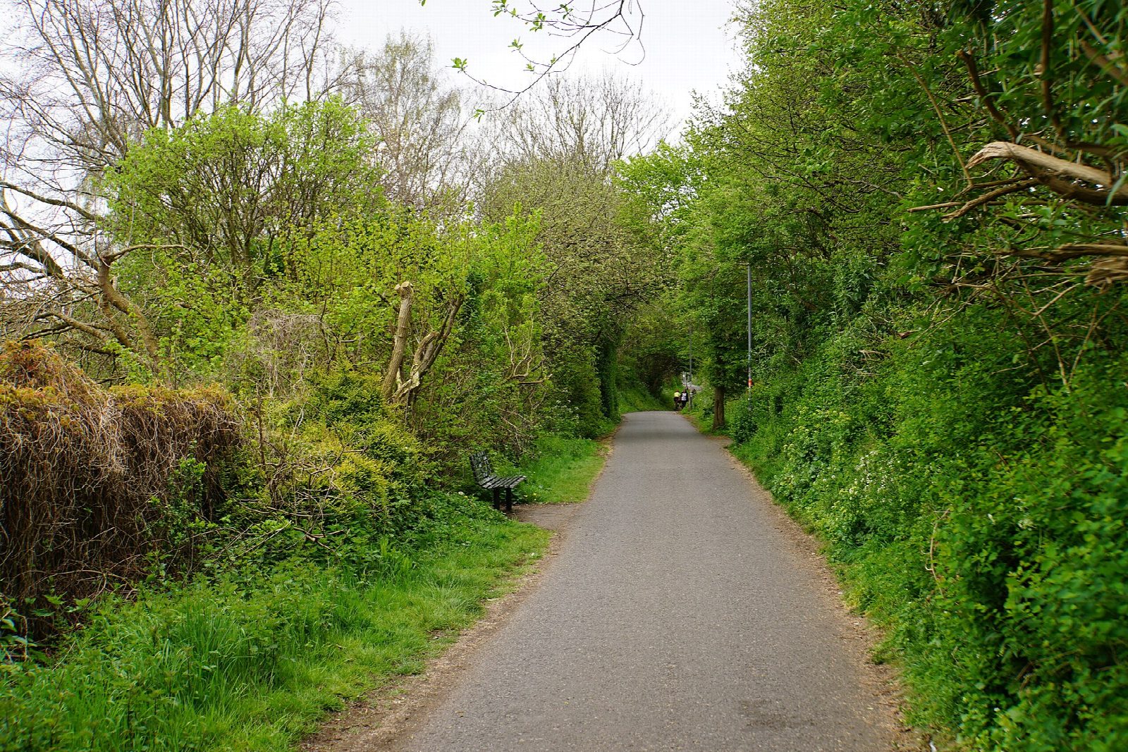 The Bristol and Bath Railway Path