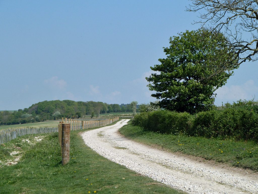 Burpham and The Burgh
