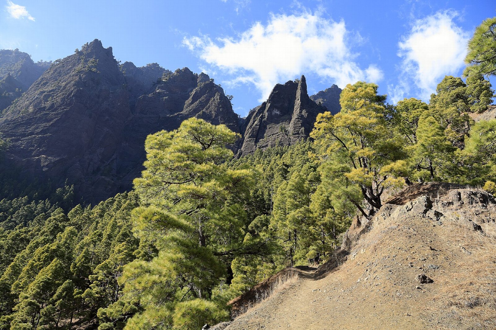 Caldera de Taburiente from Los Brecitos