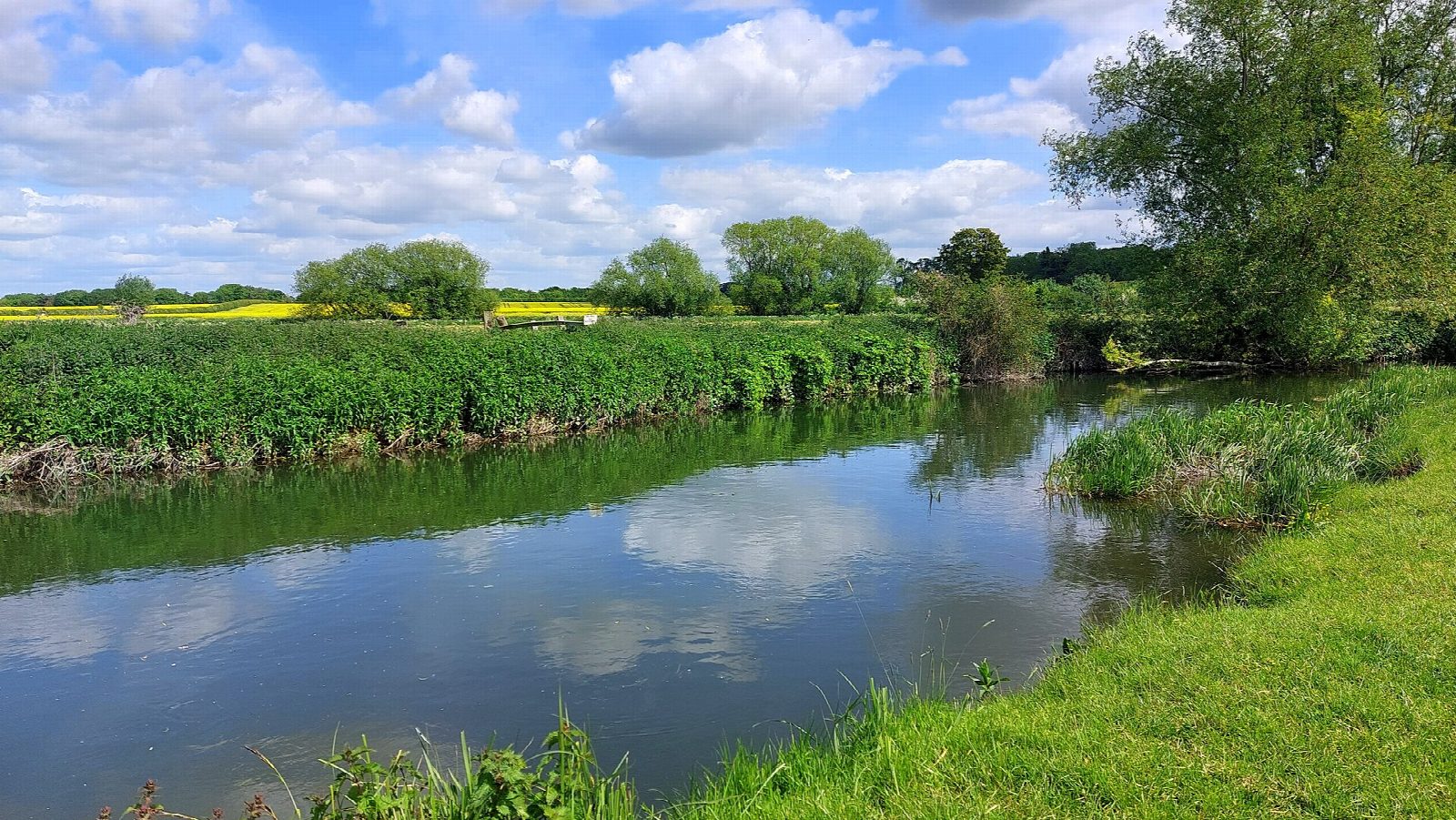 River Cam: Cambridge to Grantchester