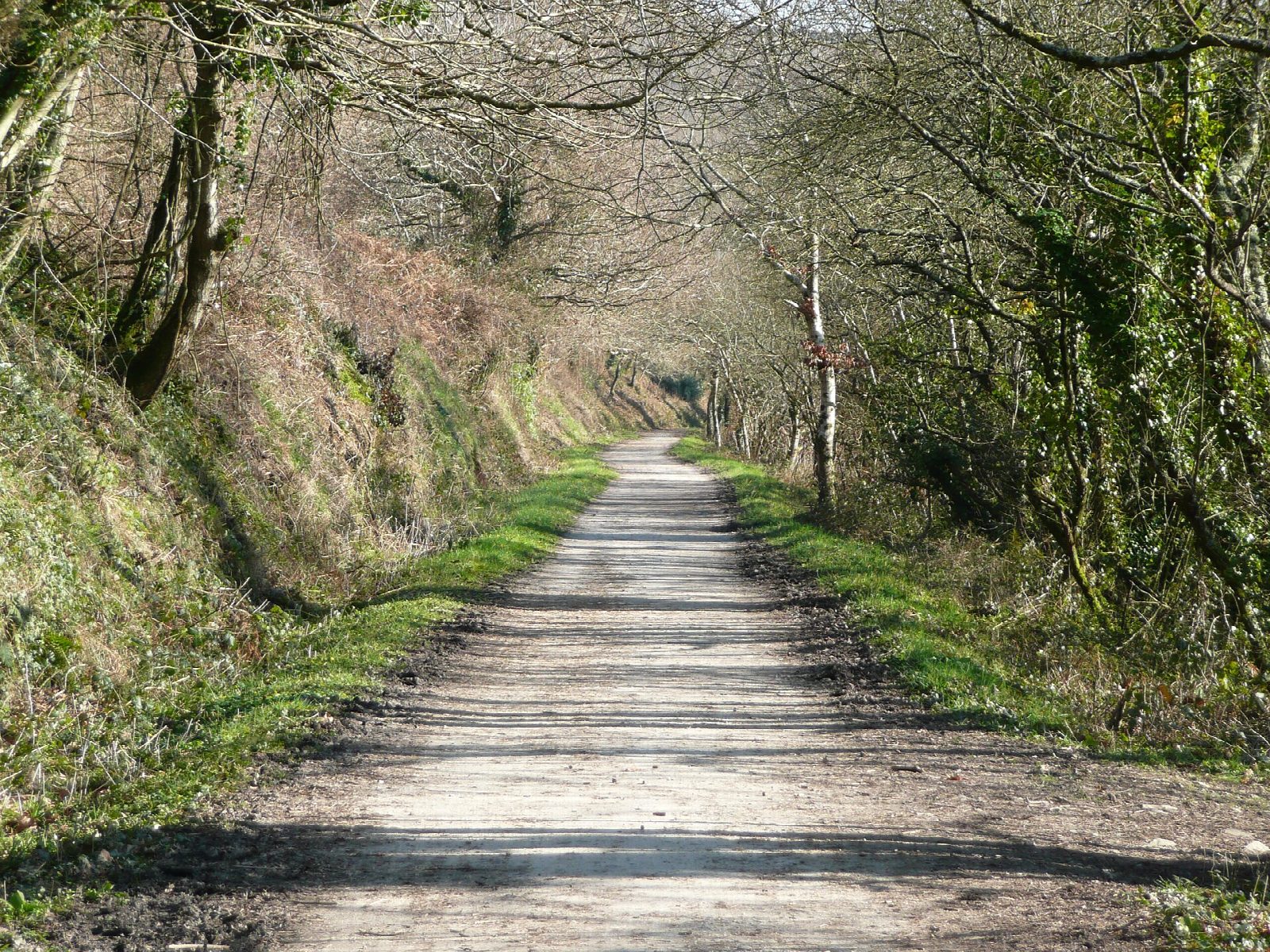 The Camel Trail from Wadebridge to Bodmin