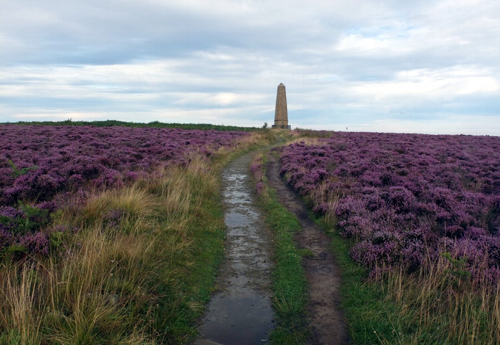Captain Cook's Monument and Roseberry Topping from Great Ayton