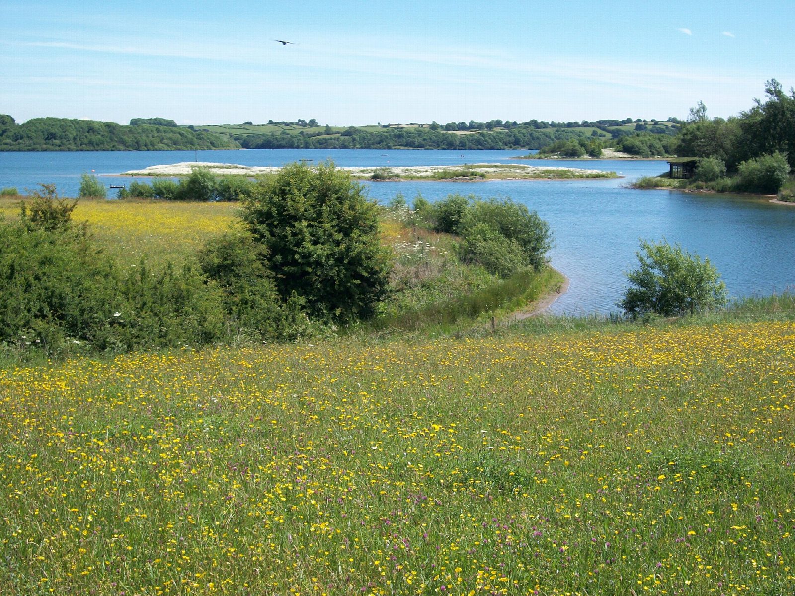 Round Carsington Water