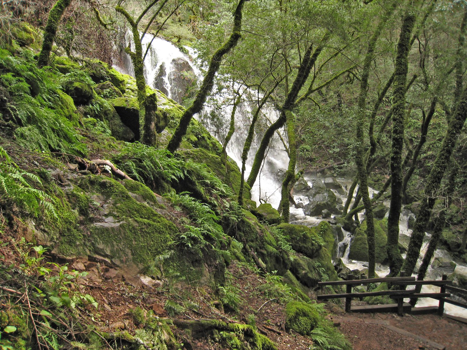 Cataract Falls from Rock Spring
