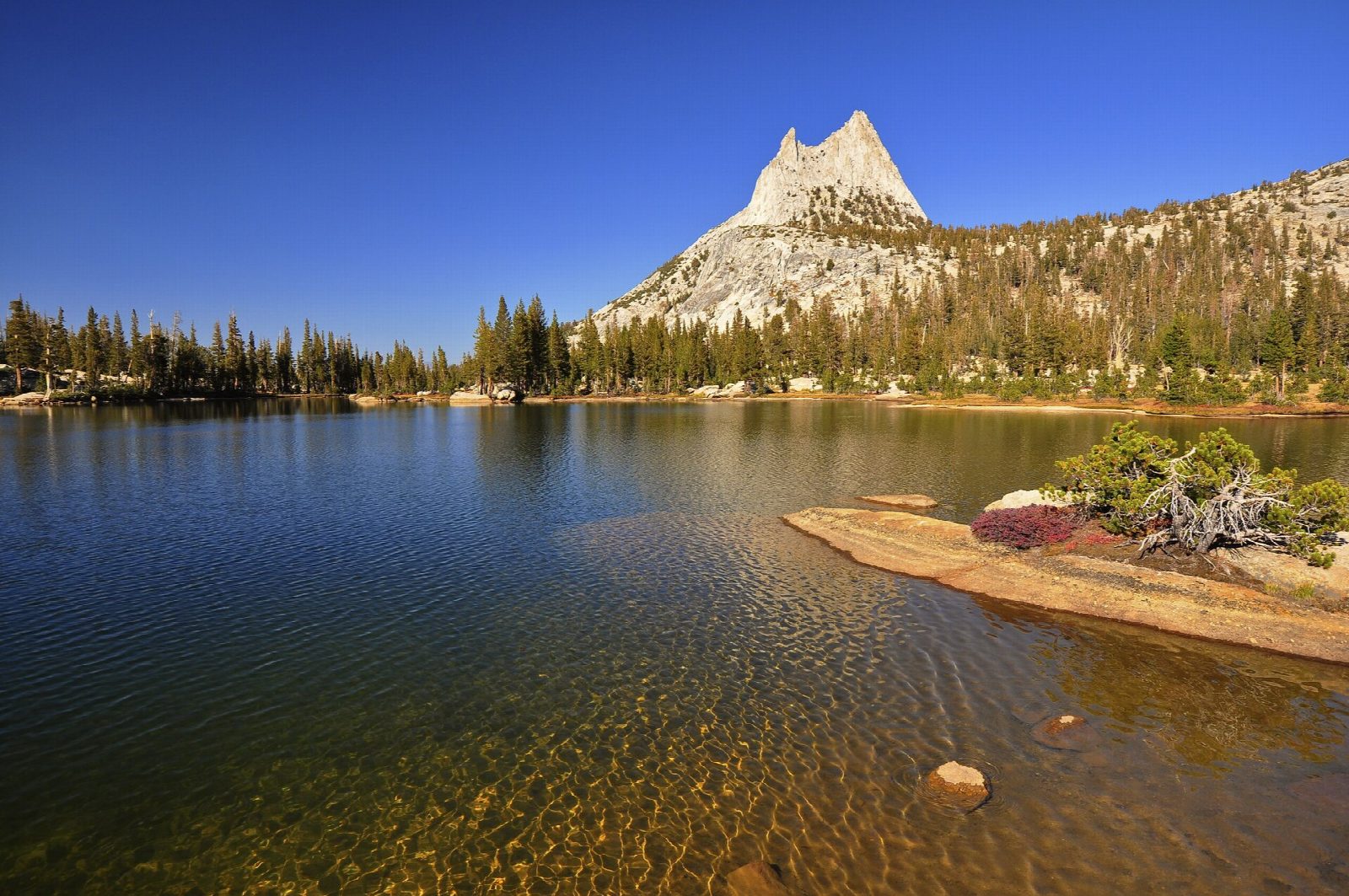 Cathedral Lakes from Tuolumne Meadows