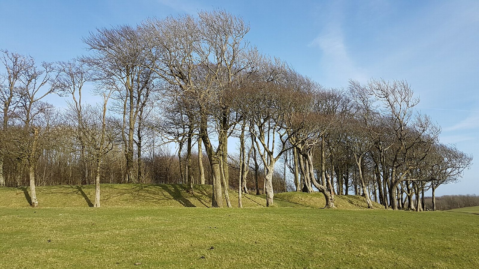 Chanctonbury Ring from Washington