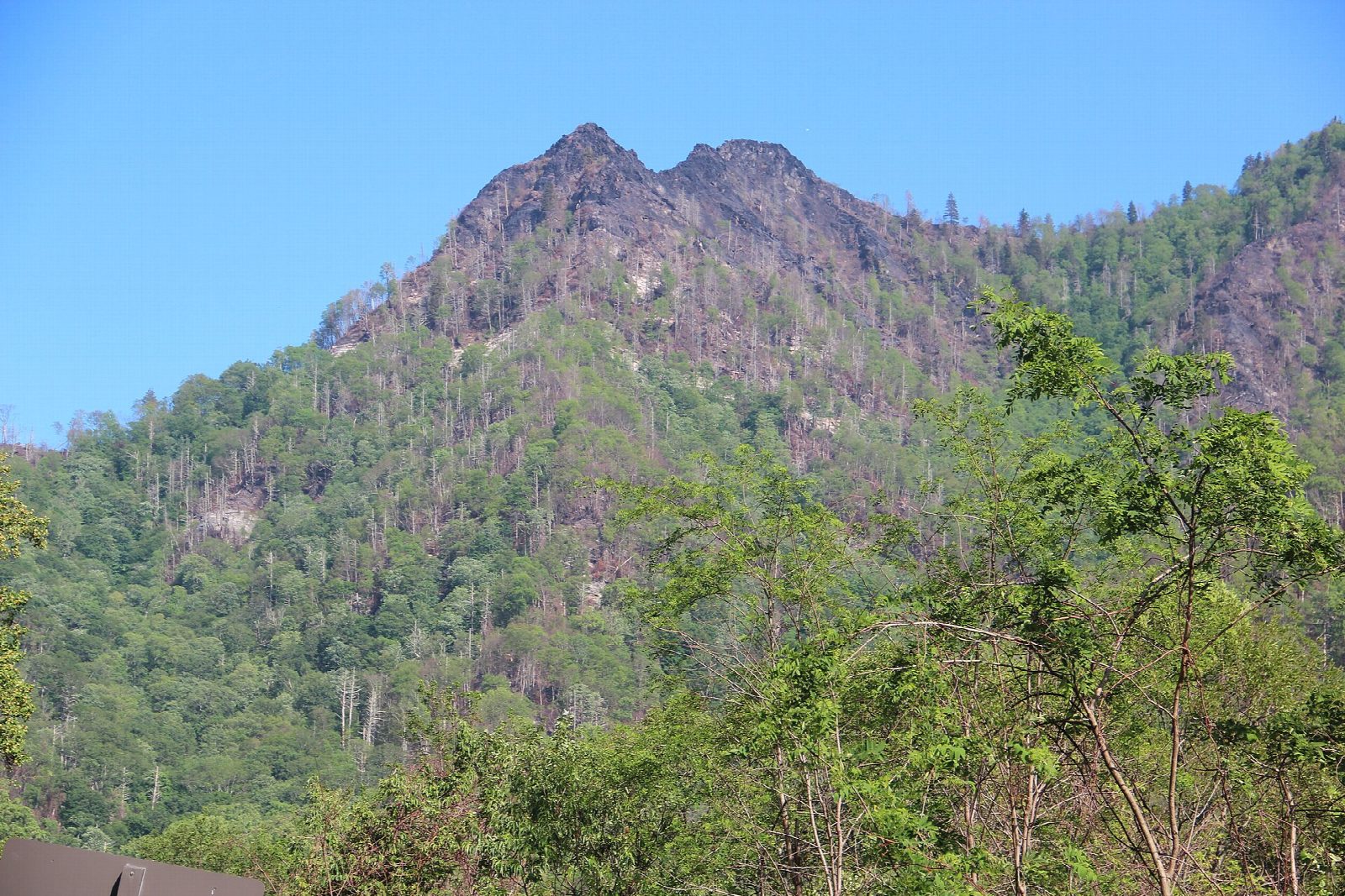 Chimney Tops Trail
