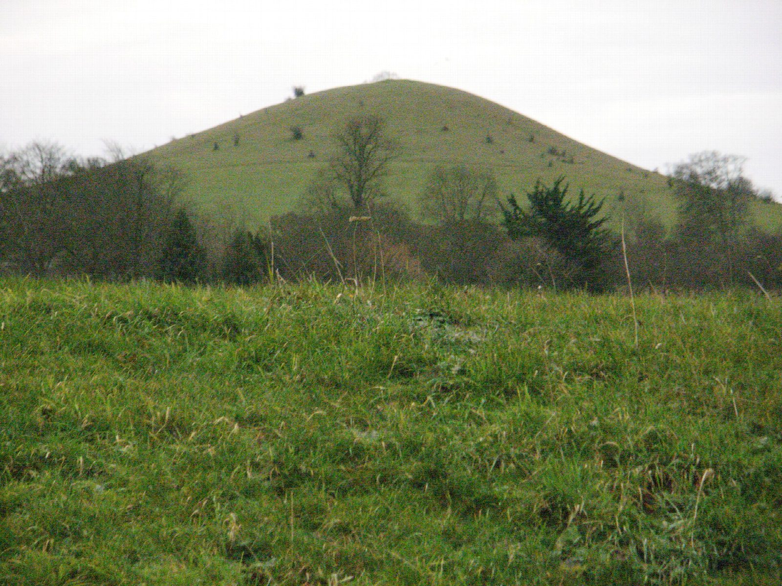 Coombe Hill, Beacon Hill and Chequers