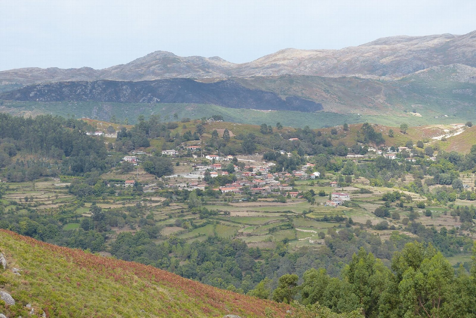 Covide and the Calcedónia hill fort
