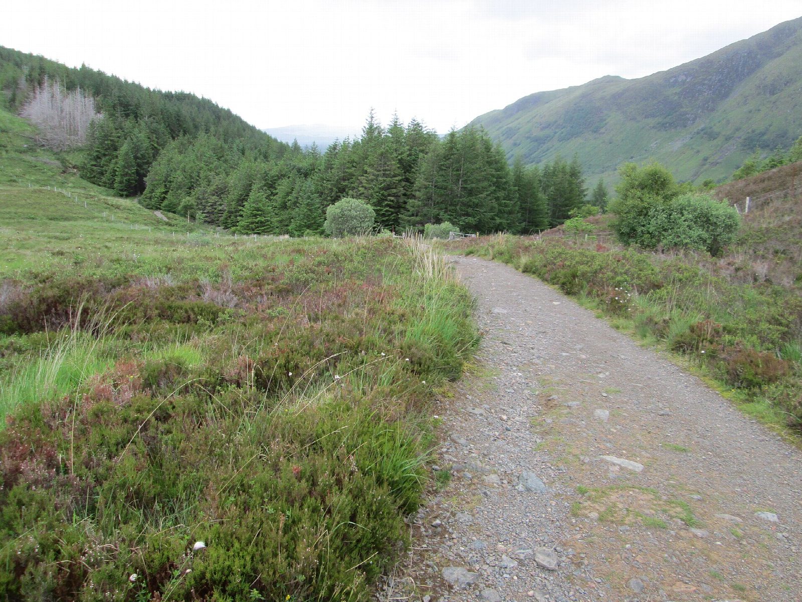 Cow Hill circuit from Fort William