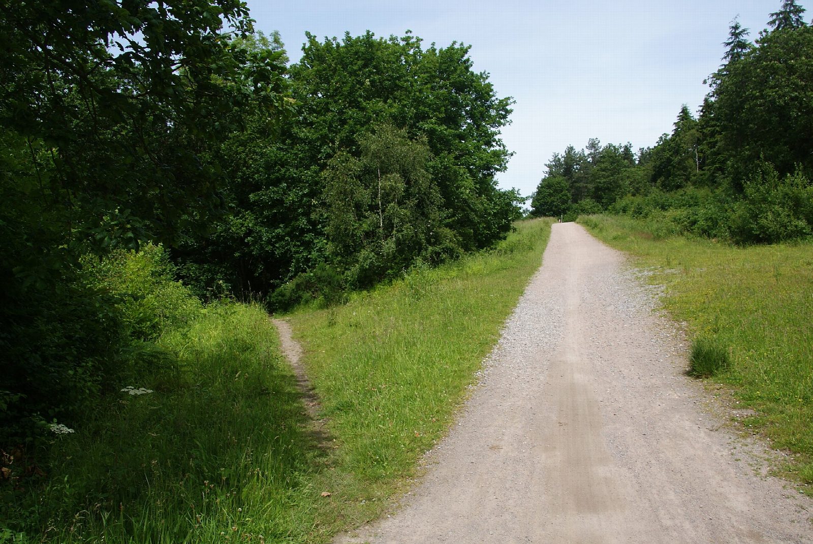 The Crab and Winkle Way from Canterbury to Whitstable