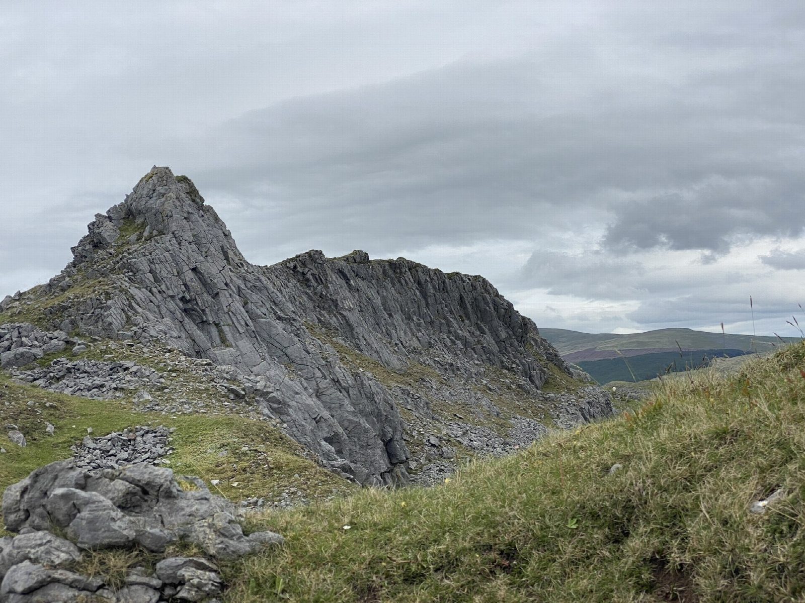 Cribarth from Craig-y-nos Country Park