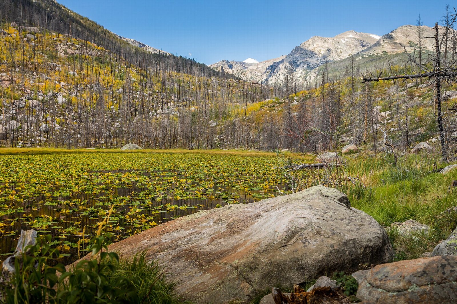 Cub Lake and The Pool Loop