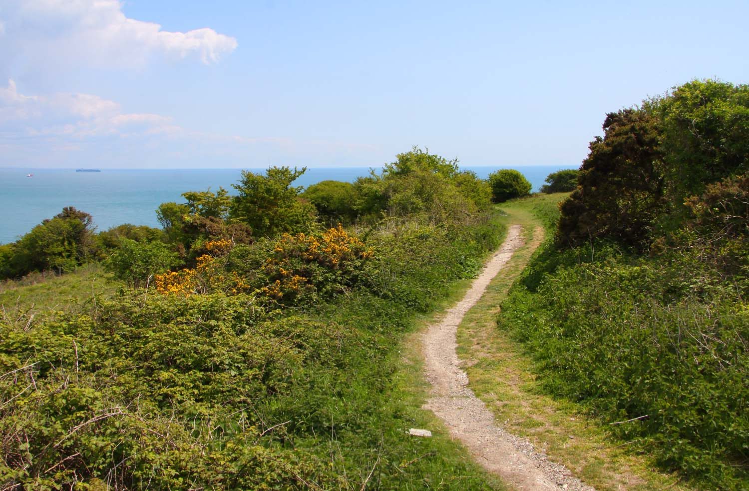 Culver Down and Bembridge Windmill from Brading