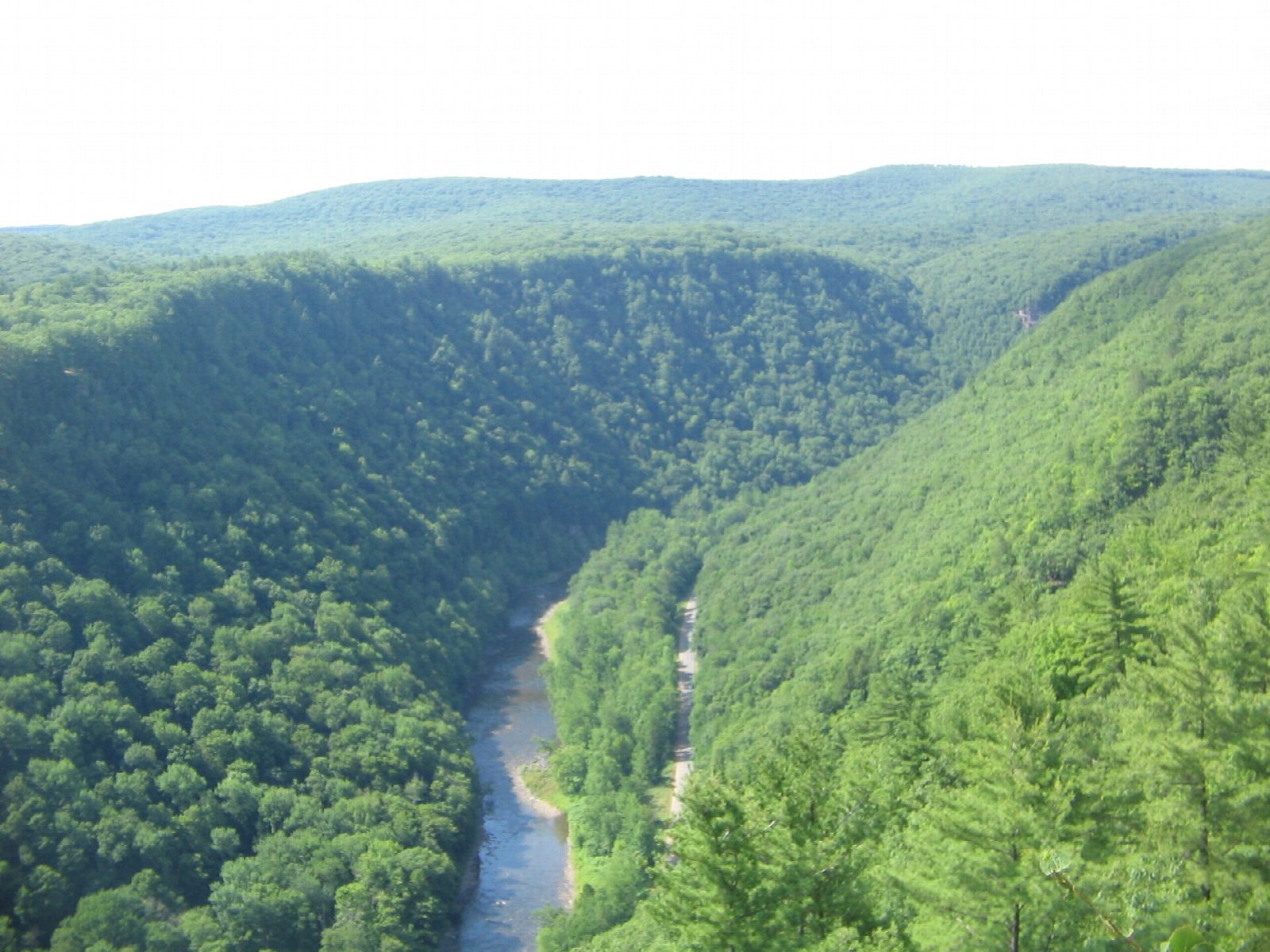 Darling Run to Blackwell through Pine Creek Gorge