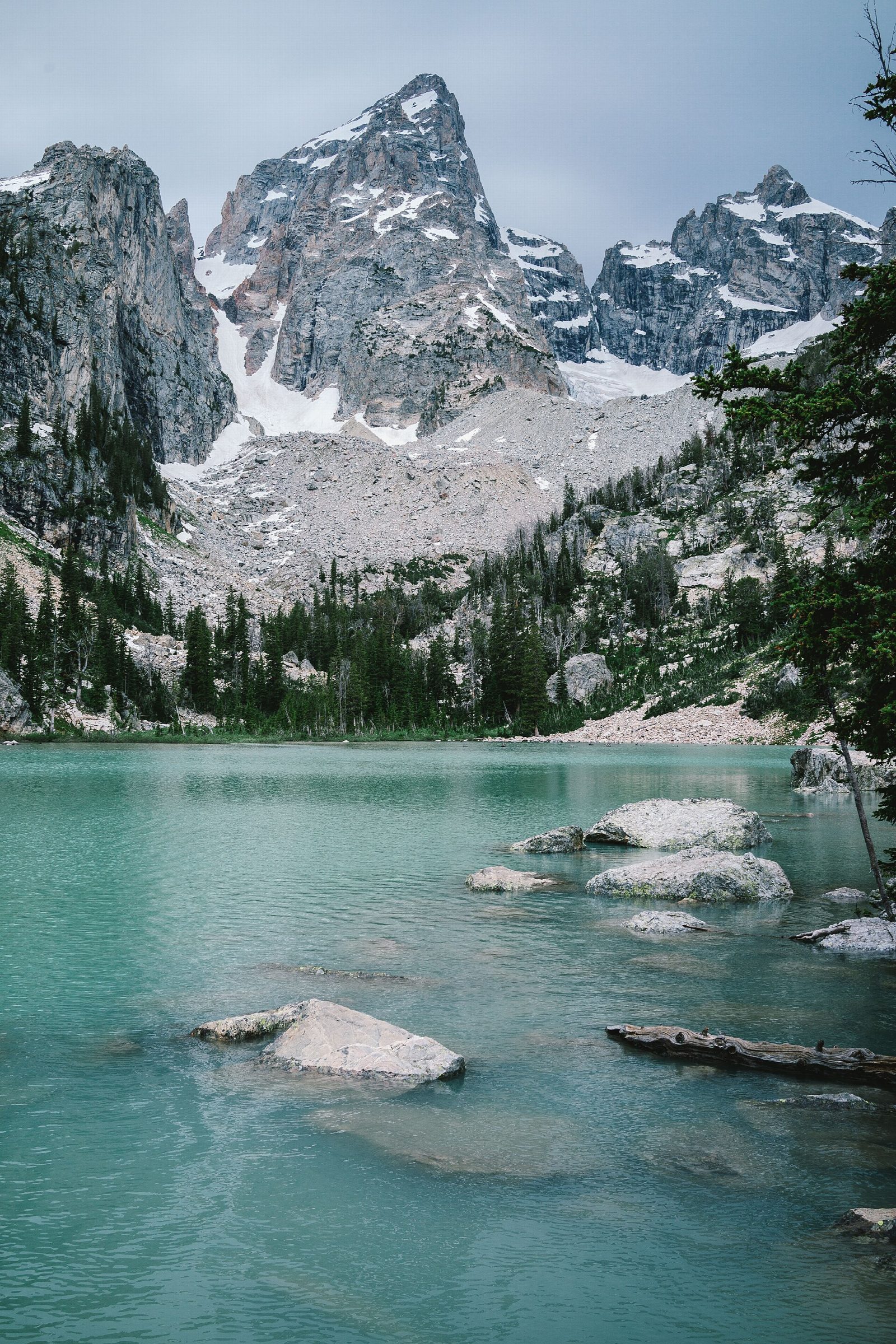 Delta Lake from Lupine Meadows