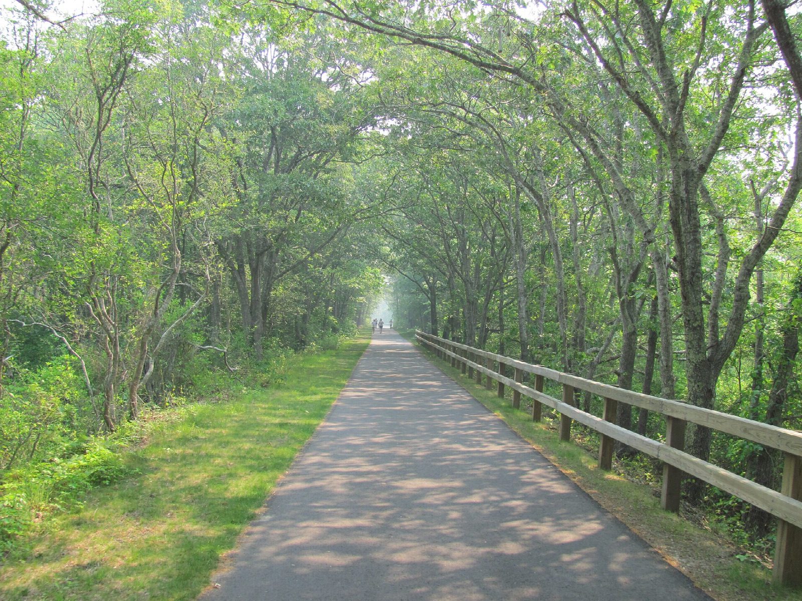Dennis to Wellfleet across Cape Cod