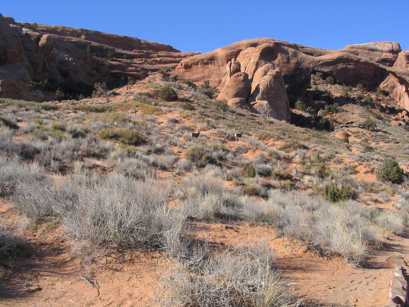 Devils Garden to Double O Arch
