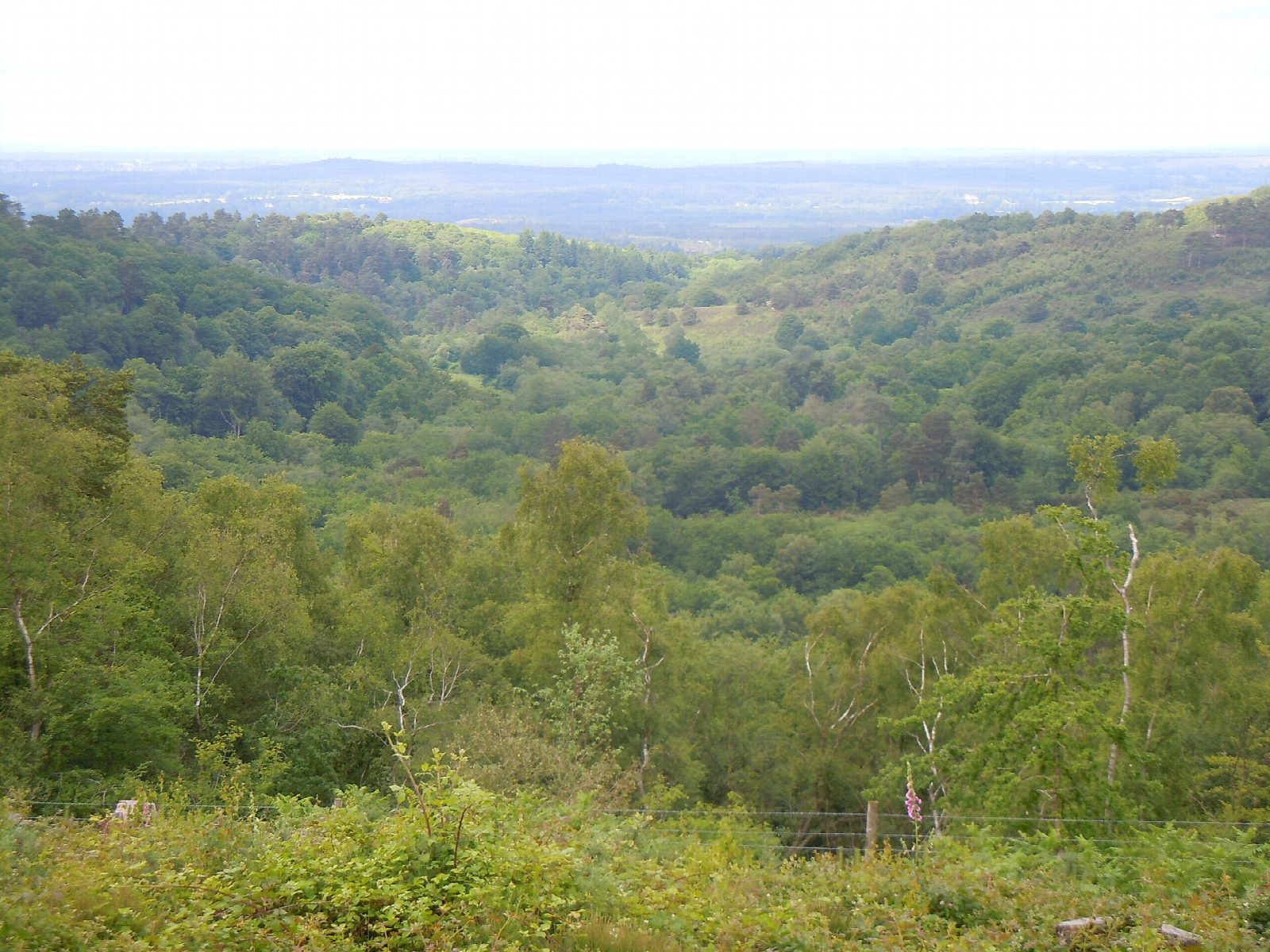The Devil's Punch Bowl and Gibbet Hill from Hindhead