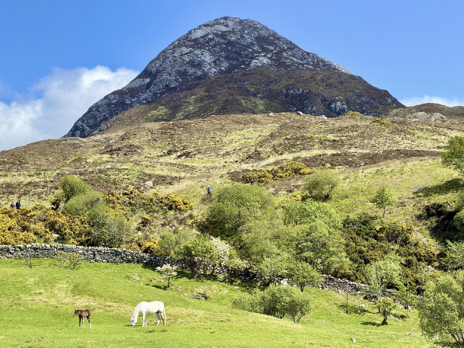 Diamond Hill from Letterfrack